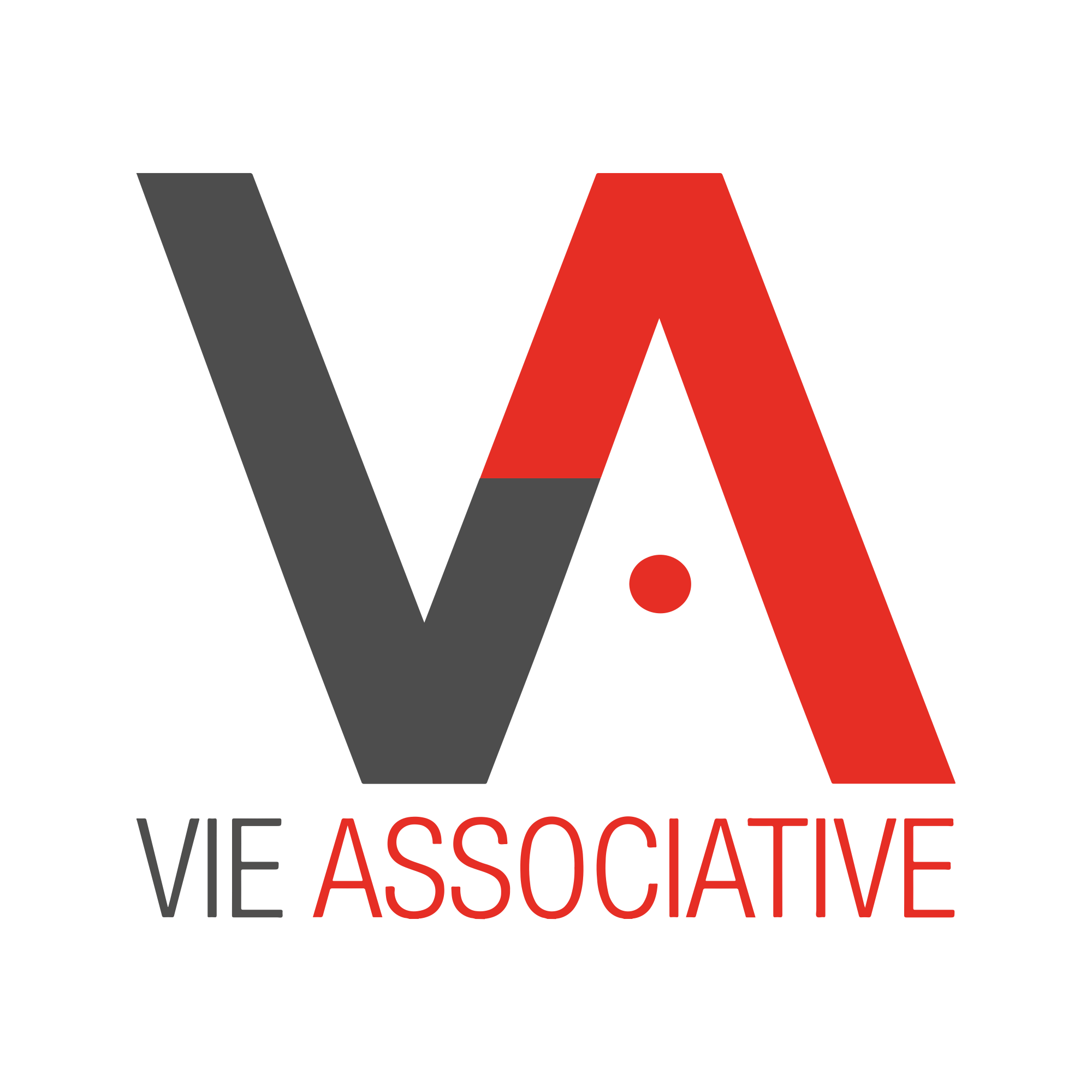 Logo Conseil de la Vie Associative
